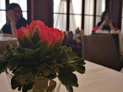 -Cova Ristorante & Caffe(海港城店)
