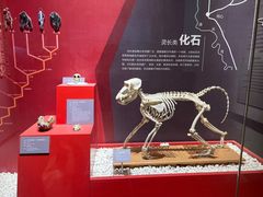 -国家自然博物馆