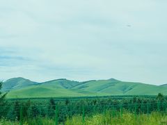 -塞罕坝国家级自然保护区