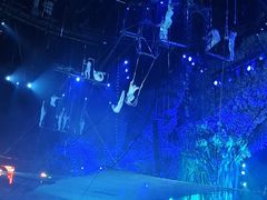 -广州长隆国际大马戏