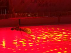 -松江大学城体育馆滑冰馆