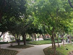 -顺峰山公园