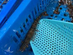 -盒马鲜生(首义店)