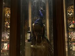 -孔雀裡融合餐厅