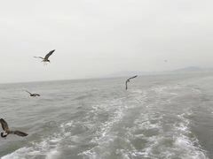 -海驴岛(荣成市)