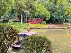 -西溪国家湿地公园