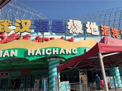 -海合安武汉极地海洋公园
