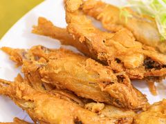 -有腥气私房菜·寻味顺德