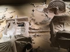 -洛阳周王城天子驾六博物馆