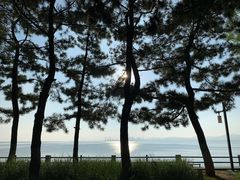 -悦海公园