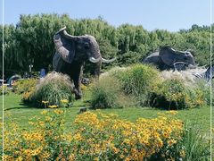 -北京野生动物园