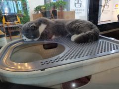 -弓舍射箭俱乐部(高新总店)