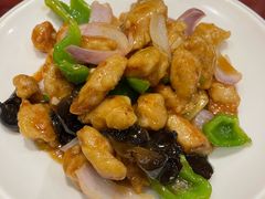 -邵年鸽(杨庄店)