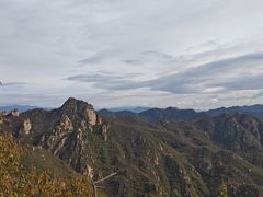 -大岭沟猕猴桃谷风景区