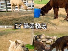 -盈香心动乐园