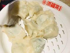 -添福来墨鱼饺子 · 海鲜东北菜(泡崖店)