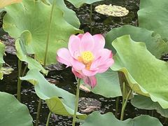 -昆山城市生态森林公园