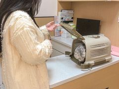 -瑞派康怡24h宠物医院·犬猫医疗中心·微创绝育(瑞景分院)