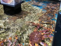 -盒马鲜生(皇庭广场店)