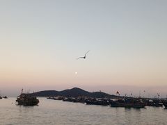 -海源公园