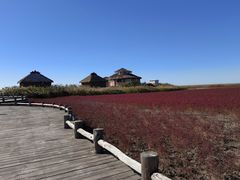 -红海滩国家风景廊道