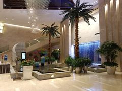 -常州环球恐龙城维景国际大酒店