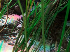 -沈阳海洋探索中心