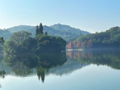 -深圳仙湖植物园