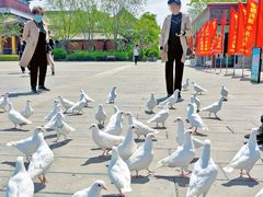 -天津妈祖文化园