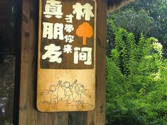 -林间山庄