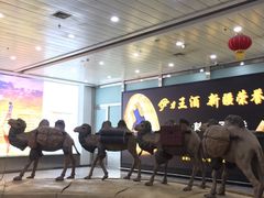 -乌鲁木齐天山国际机场-T3航站楼