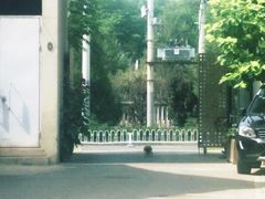 -中国艺术研究院油画院