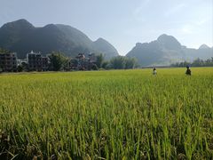 -靖西鹅泉风景区