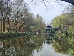 -茅家埠
