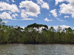 -东寨港红树林旅游区