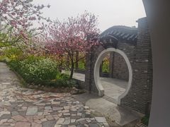 -南汇桃花村
