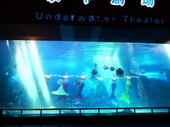 -泉城欧乐堡海洋极地世界