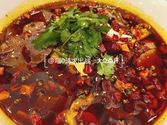 -新成海港大酒楼(康华路店)