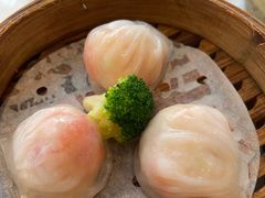 -新雅粤菜馆(南京东路店)