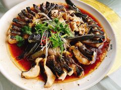 -京北渔家傲