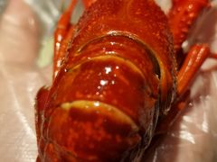 极品蒸虾-巴厘龙虾·榜首油焖大虾(旗舰店·万松园)