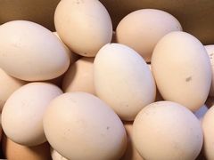 -马陆小张葡萄园农家乐