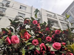 -南京航空航天大学(明故宫校区)