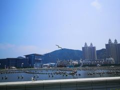 -星海广场