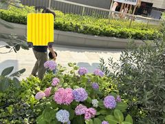 -瑞虹新天地月亮湾