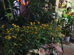 -花二家·生活馆(六运小区店)