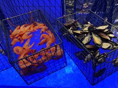 -富力万达文华酒店·海鲜自助