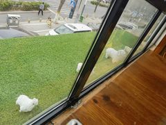 -老诚一锅(乔庄店)