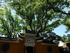 -普陀山慧济禅寺