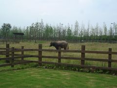iphone_upload_pic-田园东方蜜桃村的田野营地